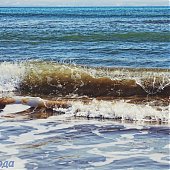 Только и разговоров, что о море…