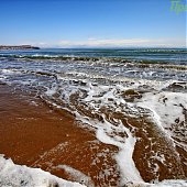 Только и разговоров, что о море…