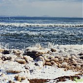 Только и разговоров, что о море…