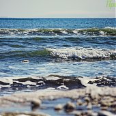 Только и разговоров, что о море…