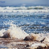 Только и разговоров, что о море…