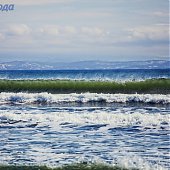 Только и разговоров, что о море…