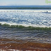 Только и разговоров, что о море…