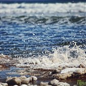 Только и разговоров, что о море…