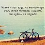 Мост во Владивостоке откроют велосипедисты