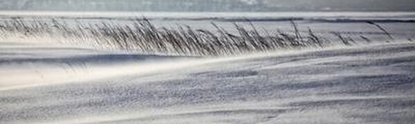 Снежный покров высотой до 30 см образовался в Пожарском и Красноармейском районах Приморья