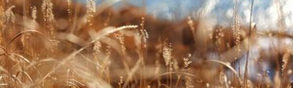 В среду в Приморье начнётся потепление