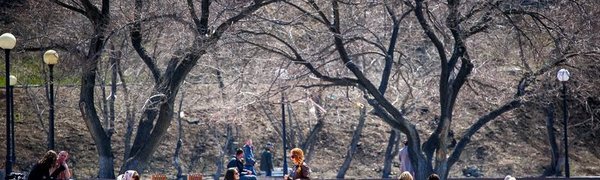К выходным в Приморье потеплеет до +20 °С