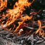 Из-за тёплой погоды в Приморье выросла опасность лесных пожаров