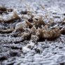 Критической отметки достигнет уровень воды в Приморье из-за дождей