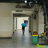  Летний воскресный дождь(ФОТО)
