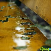  Летний воскресный дождь(ФОТО)