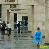  Летний воскресный дождь(ФОТО)