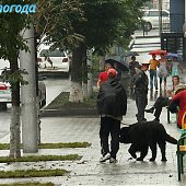  Летний воскресный дождь(ФОТО)