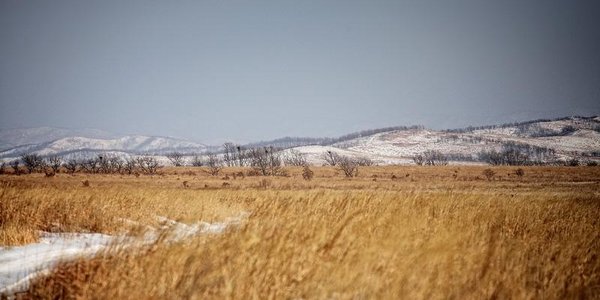 В Приморье стоят трескучие сибирские морозы