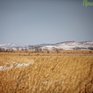 В Приморье стоят трескучие сибирские морозы