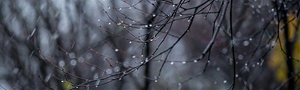 Завтра во Владивостоке пройдёт дождь со снегом