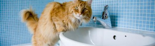 Из-за ремонтных работ часть Владивостока останется без горячей воды