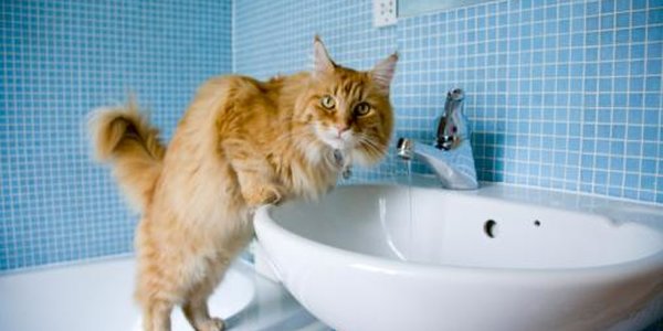 Из-за ремонтных работ часть Владивостока останется без горячей воды