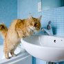 Из-за ремонтных работ часть Владивостока останется без горячей воды