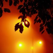 Во Владивостоке ожидаются кратковременные дожди и туман