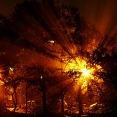 Во Владивостоке ожидаются кратковременные дожди и туман