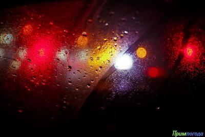 Во Владивостоке ожидаются кратковременные дожди и туман