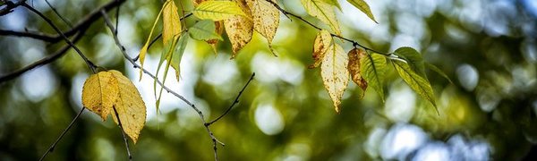 На выходных в Приморье увеличится перепад температур