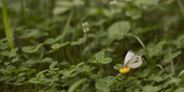 В Приморье прогнозируется теплый август