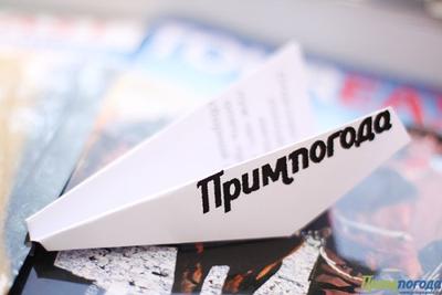 Примпогода претендует на звание «Лучший информационный сайт»