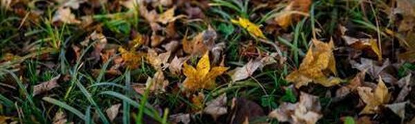 Погода в Приморье резко ухудшится на следующей неделе