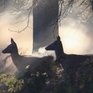 Осень шагает по планете