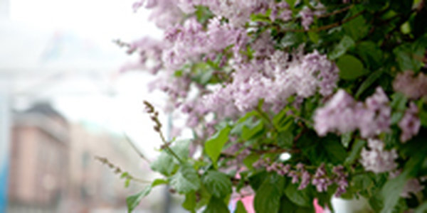 Чем закончится июнь?