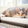 Энергетики Приморья готовы начать отопительный сезон