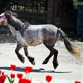 Сегодня существенных изменений в погодных условиях Приморья не ожидается