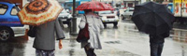 Почти трое суток в Приморье будут сильные дожди