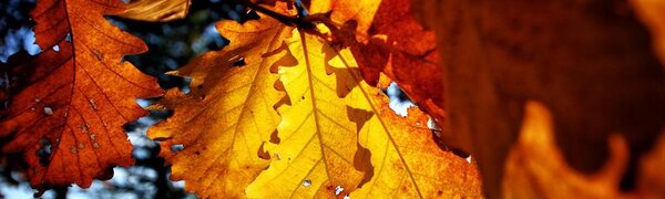 Осенняя солнечная погода установилась в Приморье 