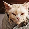 Во Владивостоке продлили сроки отключения горячей воды