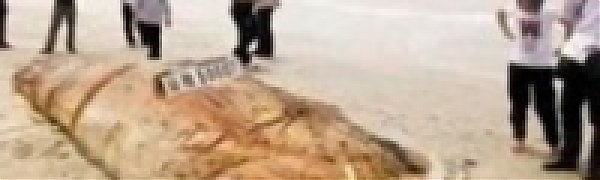 На китайском берегу нашли «морское чудовище»