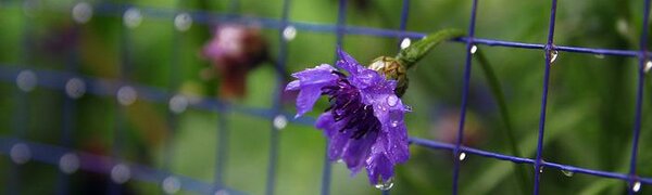 Штормовое предупреждение на локальные очень сильные дожди в Приморье отменено