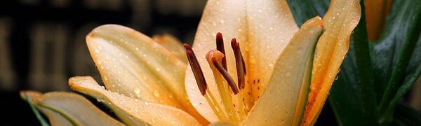 Циклон покинет Приморье в пятницу днем