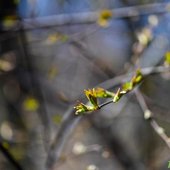 Переменчивая весна: какая погода ждёт жителей Приморья на выходных