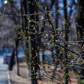 Переменчивая весна: какая погода ждёт жителей Приморья на выходных
