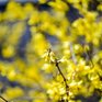 Сегодня в Приморье до +21 °С