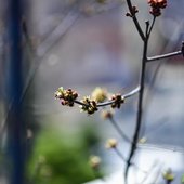 Переменчивая весна: какая погода ждёт жителей Приморья на выходных