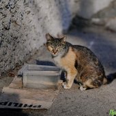 Переменчивая весна: какая погода ждёт жителей Приморья на выходных