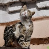 Переменчивая весна: какая погода ждёт жителей Приморья на выходных