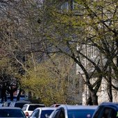 Переменчивая весна: какая погода ждёт жителей Приморья на выходных