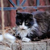 Переменчивая весна: какая погода ждёт жителей Приморья на выходных