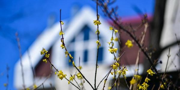 Переменчивая весна: какая погода ждёт жителей Приморья на выходных
